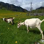 Blonbauer