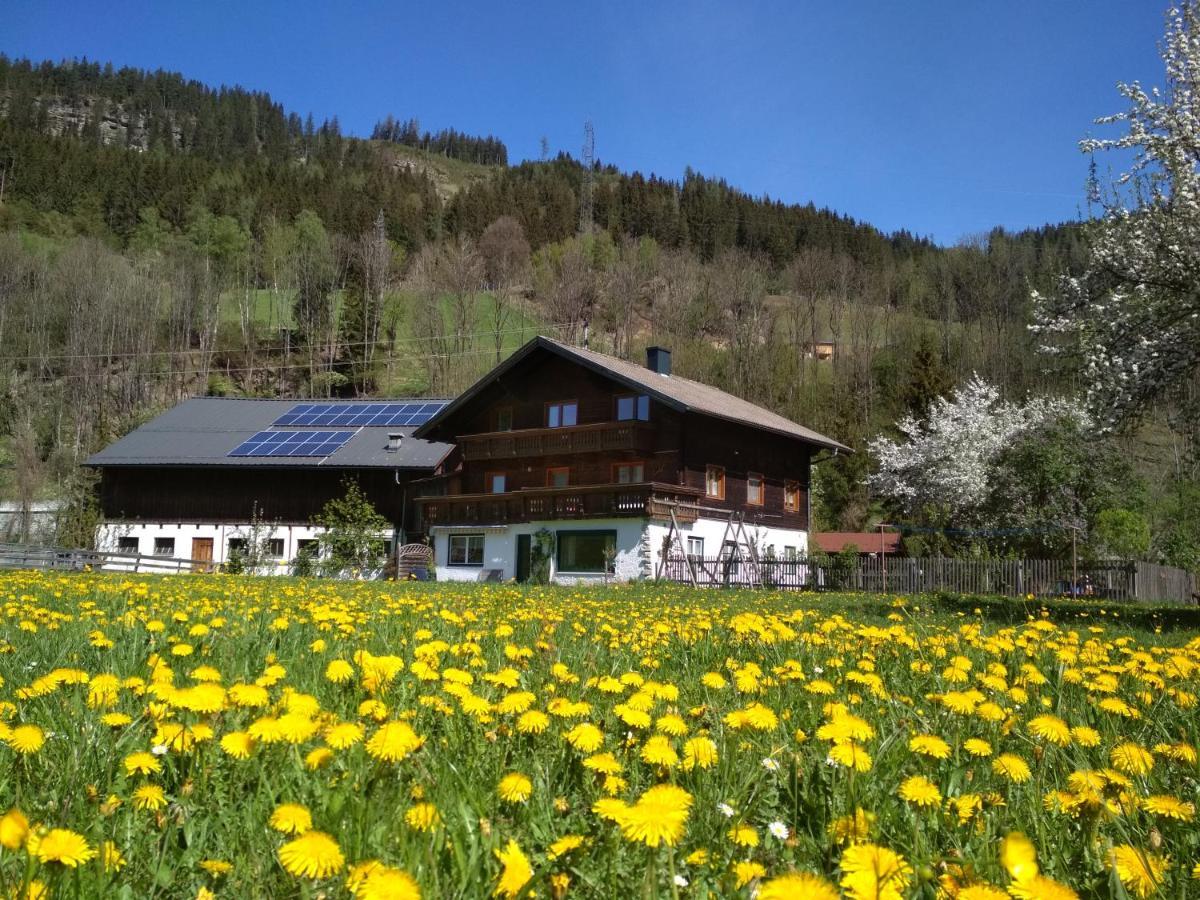 Bauernhof Blonbauer