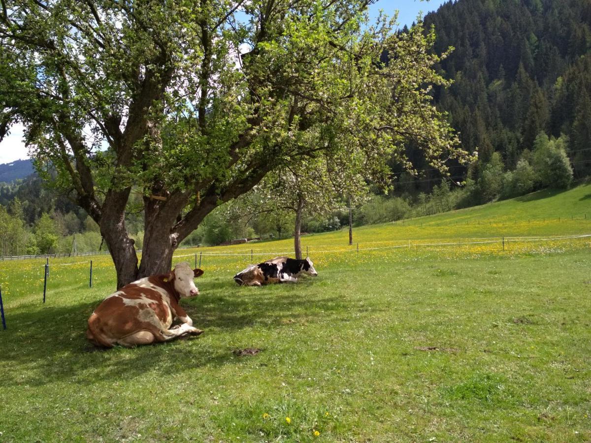 Blonbauer * Schladming