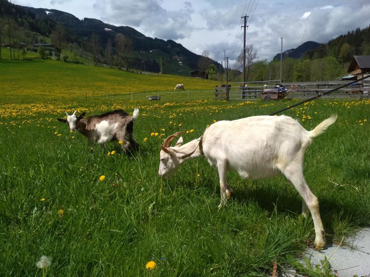 Blonbauer * Schladming