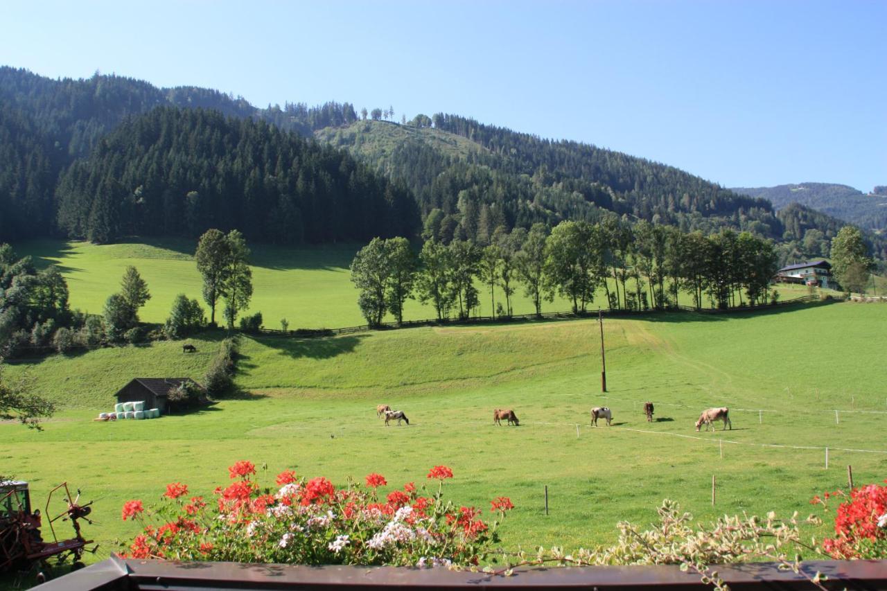Farm stay Blonbauer Schladming