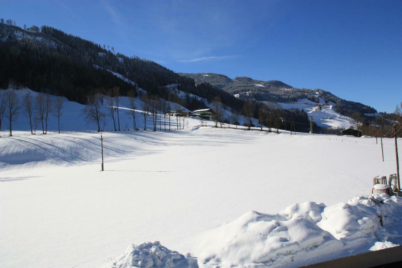 Blonbauer Bauernhof Schladming